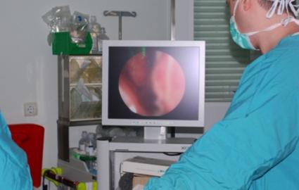 Μικρογραφία